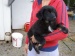 BITTE DRINGEND MAL IN DIE TIERECKE SCHAUEN! ZIG NEUE HUNDE UND WELPEN, die aus Nitra gerettet wurden und jetzt ein zu Hause suchen!!